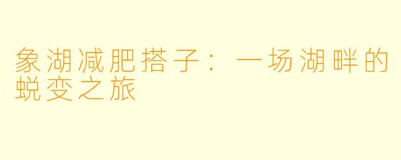 象湖减肥搭子：一场湖畔的蜕变之旅