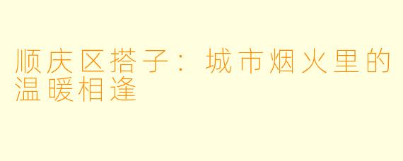 顺庆区搭子:城市烟火里的温暖相逢
