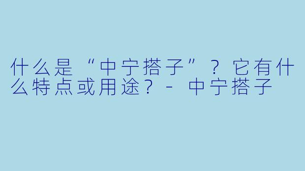 什么是“中宁搭子”？它有什么特点或用途？-中宁搭子