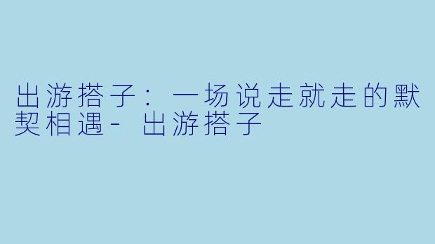 出游搭子：一场说走就走的默契相遇-出游搭子