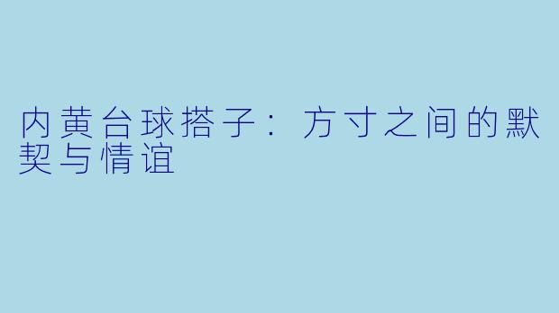 内黄台球搭子:方寸之间的默契与情谊