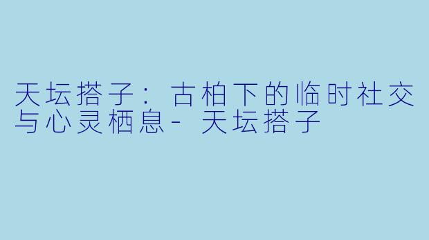 天坛搭子:古柏下的临时社交与心灵栖息-天坛搭子