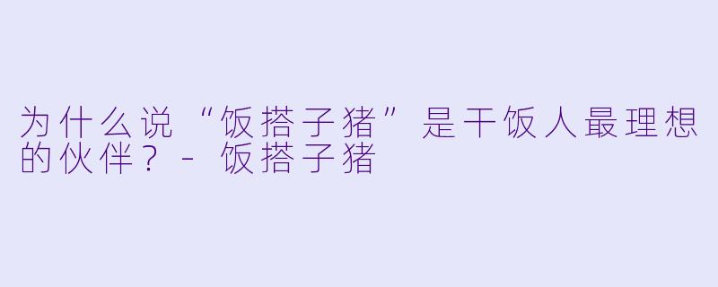 为什么说“饭搭子猪”是干饭人最理想的伙伴？-饭搭子猪
