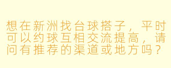 想在新洲找台球搭子，平时可以约球互相交流提高，请问有推荐的渠道或地方吗？
