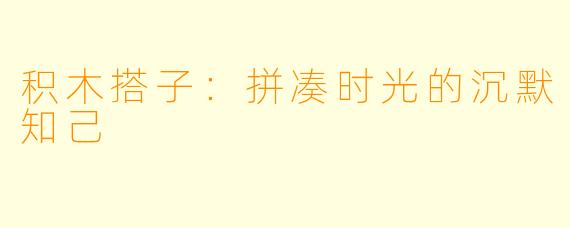 积木搭子：拼凑时光的沉默知己