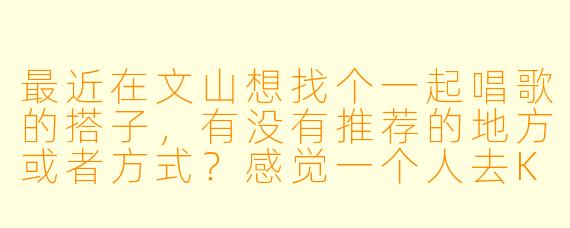 最近在文山想找个一起唱歌的搭子，有没有推荐的地方或者方式？感觉一个人去KTV有点无聊，但又想练练歌。
