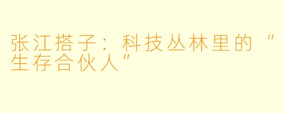张江搭子:科技丛林里的“生存合伙人”