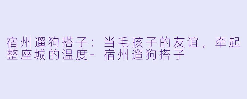 宿州遛狗搭子:当毛孩子的友谊,牵起整座城的温度-宿州遛狗搭子