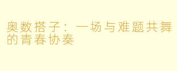 奥数搭子：一场与难题共舞的青春协奏
