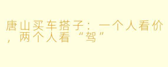 唐山买车搭子：一个人看价，两个人看“驾”