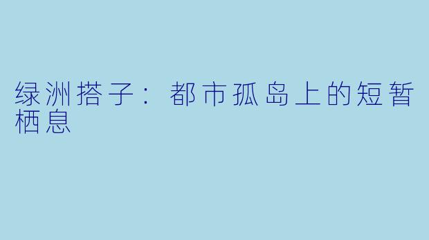 绿洲搭子:都市孤岛上的短暂栖息