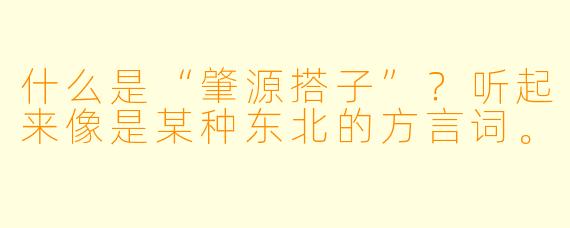 什么是“肇源搭子”？听起来像是某种东北的方言词。