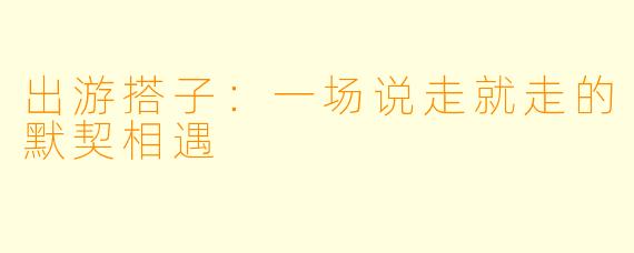 出游搭子：一场说走就走的默契相遇