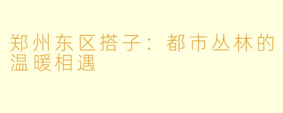 郑州东区搭子：都市丛林的温暖相遇