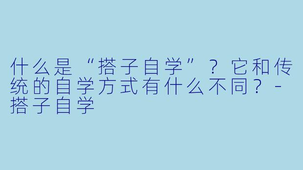 什么是“搭子自学”？它和传统的自学方式有什么不同？-搭子自学