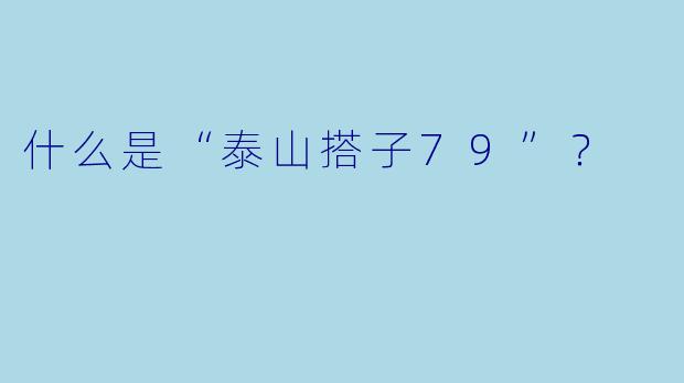 什么是“泰山搭子79”？