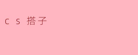 cs搭子