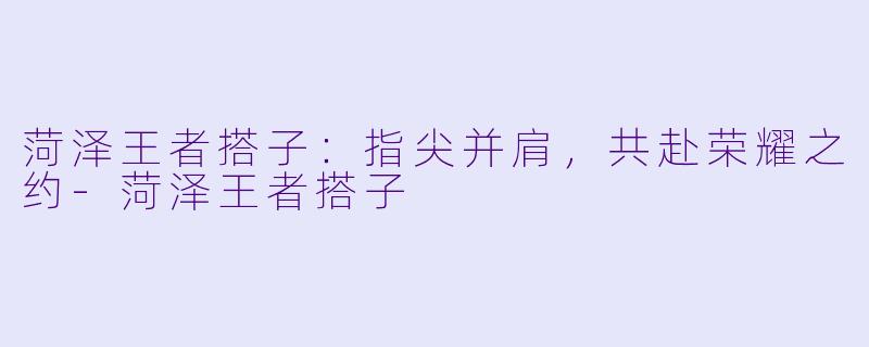 菏泽王者搭子：指尖并肩，共赴荣耀之约-菏泽王者搭子