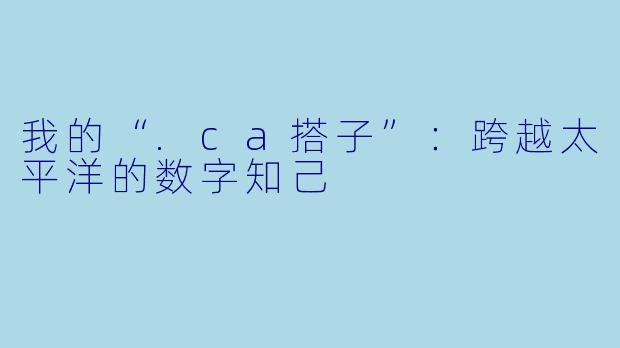 我的“.ca搭子”：跨越太平洋的数字知己