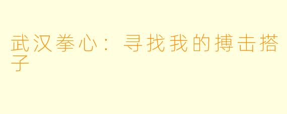 武汉拳心：寻找我的搏击搭子