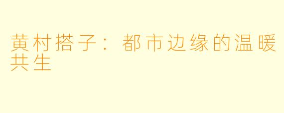 黄村搭子:都市边缘的温暖共生