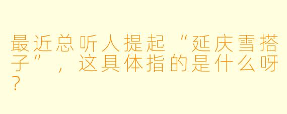 最近总听人提起“延庆雪搭子”,这具体指的是什么呀?
