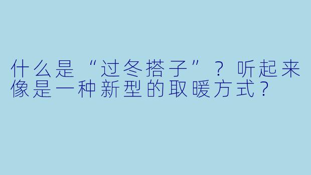什么是“过冬搭子”？听起来像是一种新型的取暖方式？