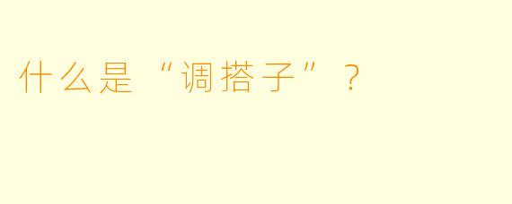 什么是“调搭子”？