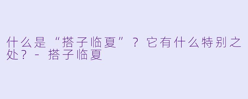 什么是“搭子临夏”?它有什么特别之处?-搭子临夏