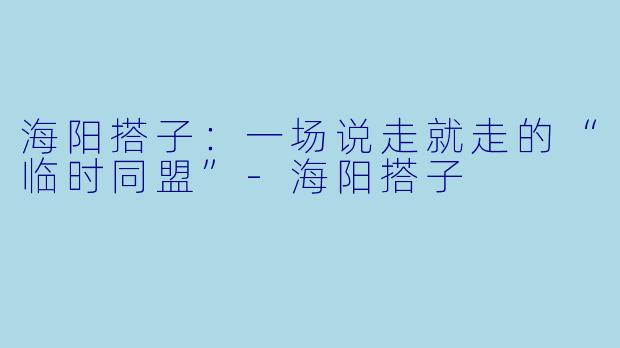 海阳搭子：一场说走就走的“临时同盟”