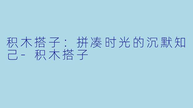 积木搭子：拼凑时光的沉默知己-积木搭子