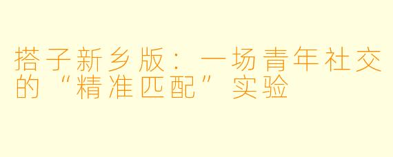 搭子新乡版:一场青年社交的“精准匹配”实验