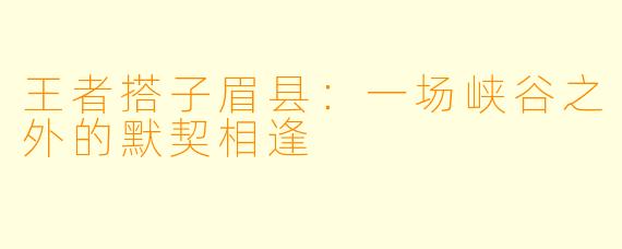 王者搭子眉县:一场峡谷之外的默契相逢