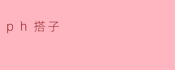 ph搭子