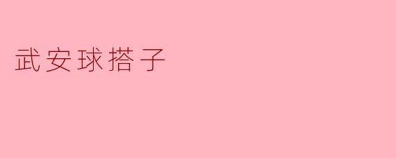 武安球搭子