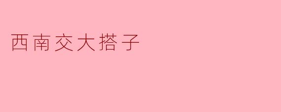西南交大搭子