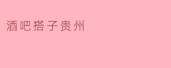 酒吧搭子贵州