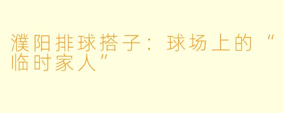 濮阳排球搭子：球场上的“临时家人”