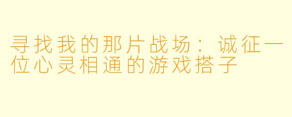 寻找我的那片战场：诚征一位心灵相通的游戏搭子