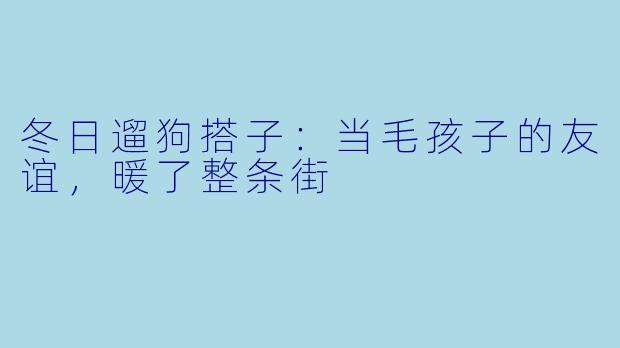 冬日遛狗搭子：当毛孩子的友谊，暖了整条街
