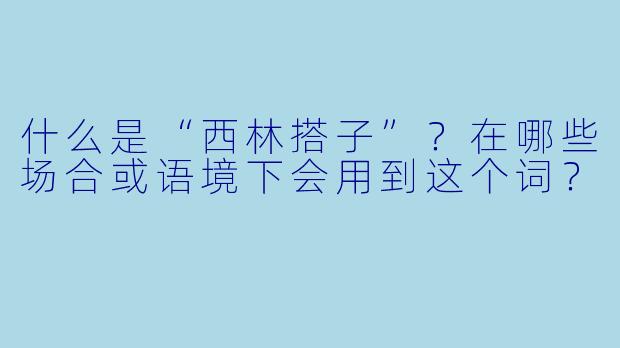 什么是“西林搭子”？在哪些场合或语境下会用到这个词？