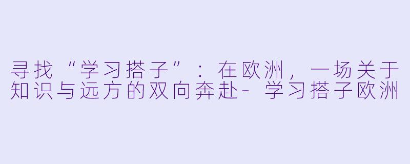 寻找“学习搭子”：在欧洲，一场关于知识与远方的双向奔赴-学习搭子欧洲