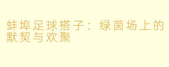 蚌埠足球搭子：绿茵场上的默契与欢聚