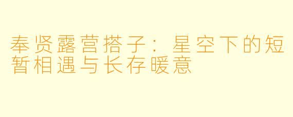 奉贤露营搭子：星空下的短暂相遇与长存暖意