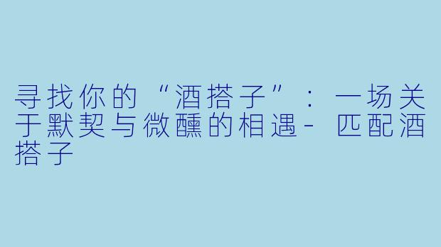 寻找你的“酒搭子”：一场关于默契与微醺的相遇-匹配酒搭子