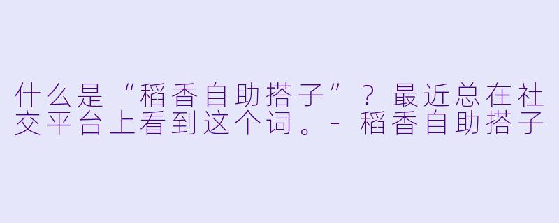 什么是“稻香自助搭子”？最近总在社交平台上看到这个词。-稻香自助搭子