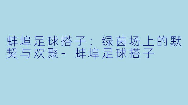 蚌埠足球搭子：绿茵场上的默契与欢聚-蚌埠足球搭子