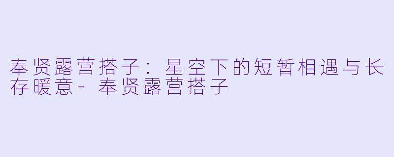 奉贤露营搭子：星空下的短暂相遇与长存暖意-奉贤露营搭子