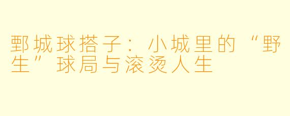 鄄城球搭子：小城里的“野生”球局与滚烫人生