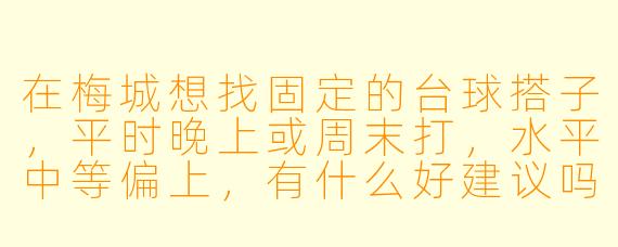 在梅城想找固定的台球搭子，平时晚上或周末打，水平中等偏上，有什么好建议吗？